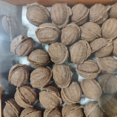 Орешки "Ночка" с какао и топл.сгущ.  г. Нижний Тагил ИП Зудов (2кг)