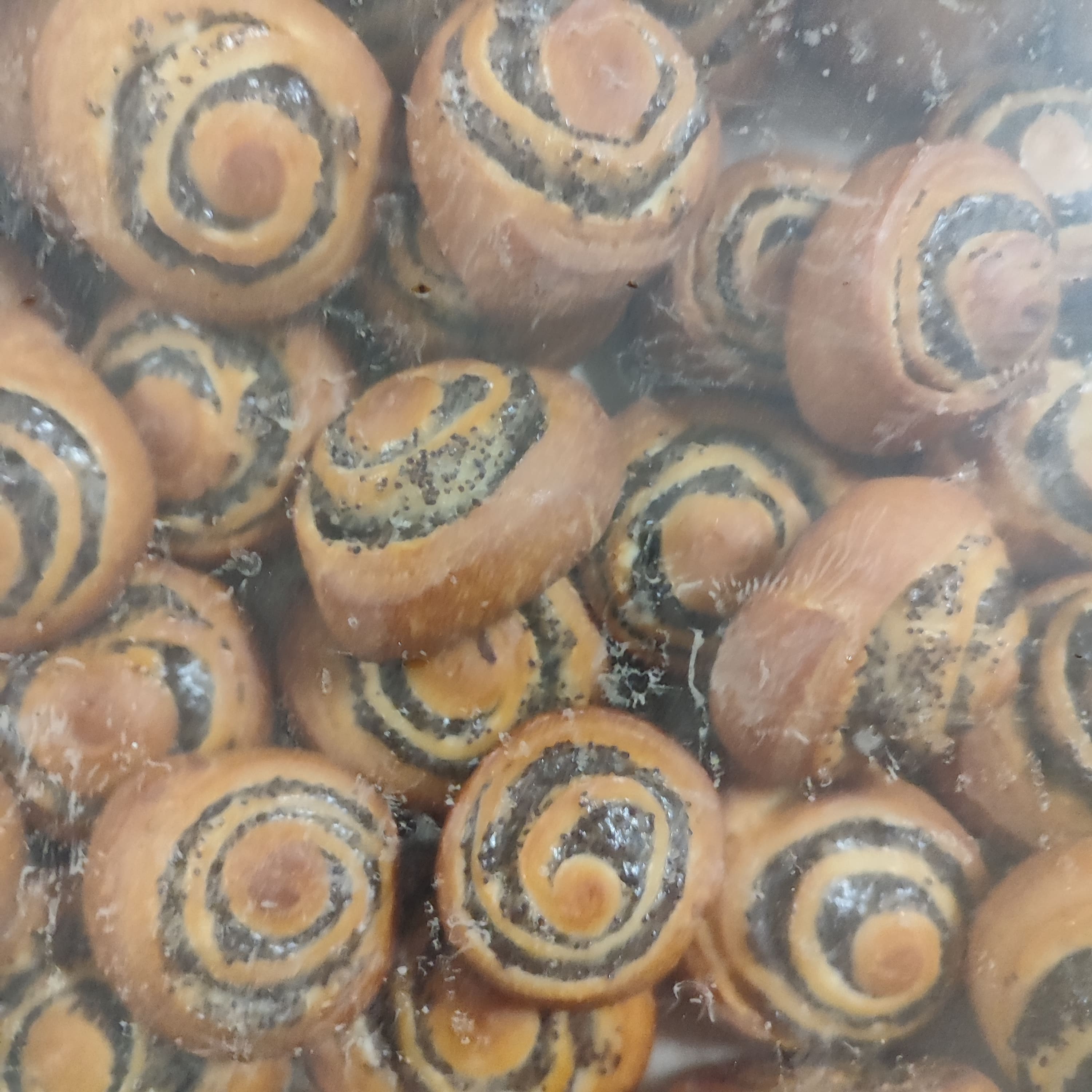 Забава с маком (57)  г. Нижний Тагил ИП Зудов (1,5кг)