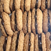 Акция Ландош" печенье  Челябинская обл. ООО "Шоколад" (1,5кг)