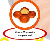 Акция Кекс с творогом "Нежный" г. Пермь ООО "Сандра" (2кг)
